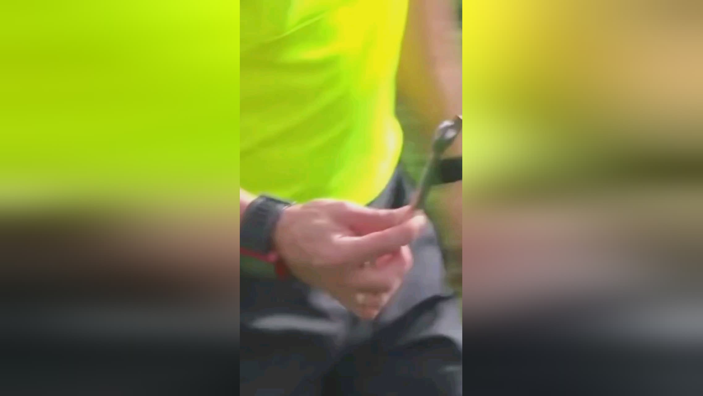 的严格